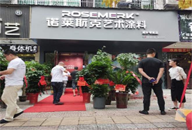 諾萊斯克藝術(shù)涂料