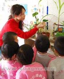 中国幼儿园连锁经营的品牌--红缨幼儿园全国招