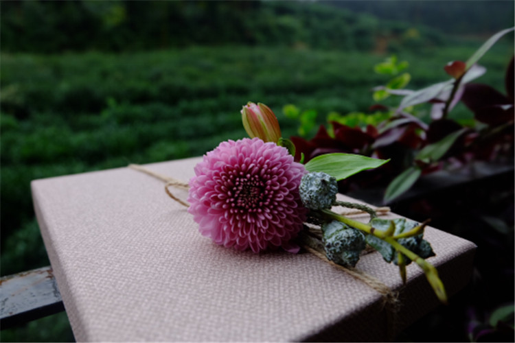 花艺培训机构 良友花店商学院是(图)-新闻资讯