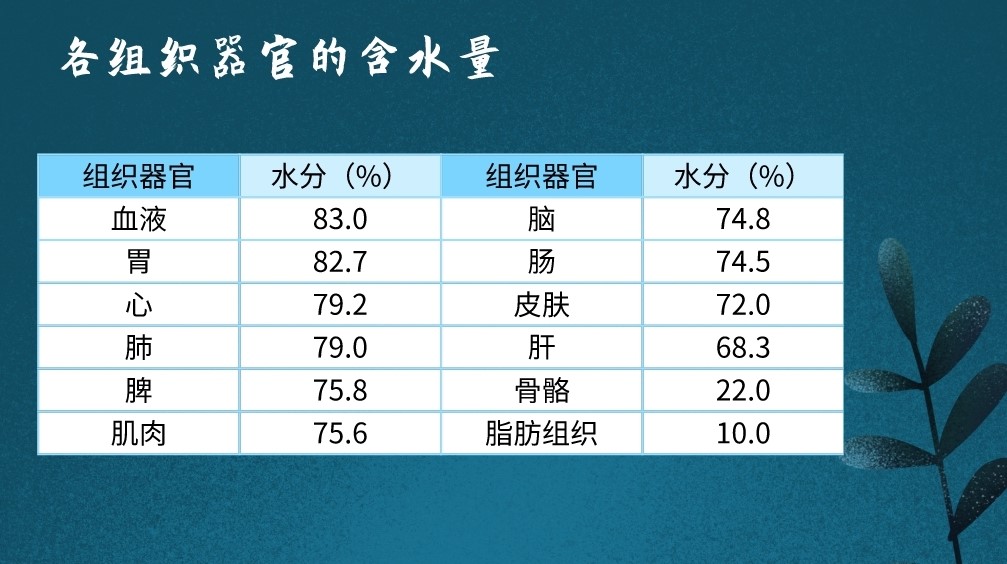 不同的人,水的含量不一样,人体的各组织器官的含水量也是不同.