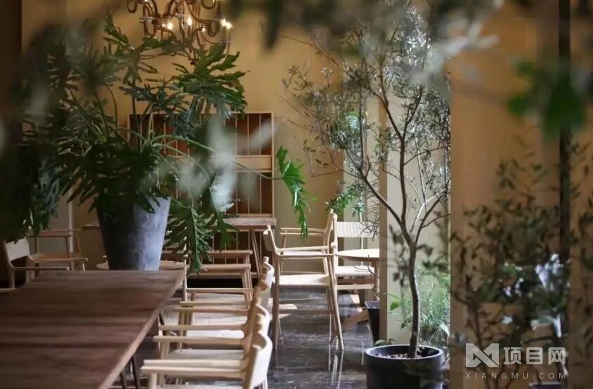 一尺花園咖啡加盟