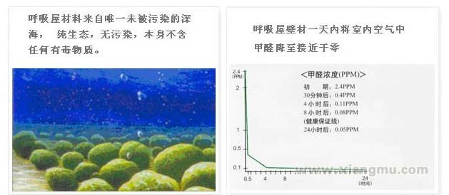 呼吸屋硅藻泥生态壁材全国区域城市代理商招商加盟_7