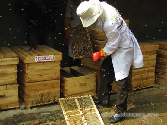 颐和蜂蜂蜜蜂产品加盟代理全国招商_2