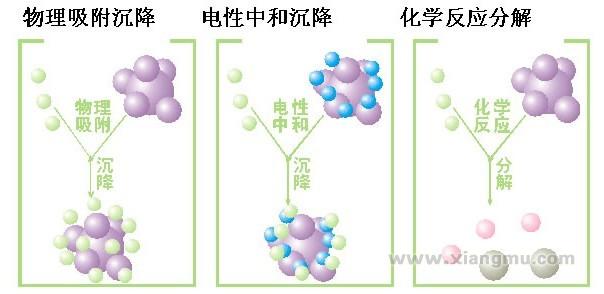 光呼吸负离子光触媒加盟费_光呼吸负离子光触媒招商连锁_光呼吸代理_北京化新高科环保科技有限公司_3