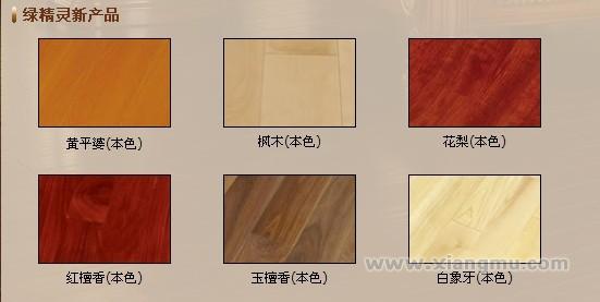 绿精灵地板：中国第一家专利连续卡扣安装实木地板专业制造商_6