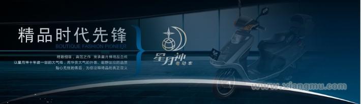 星月神电动车——中国民营企业500强_2