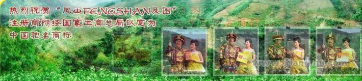 安溪铁观音集团：乌龙茶行业中的标杆品牌_2