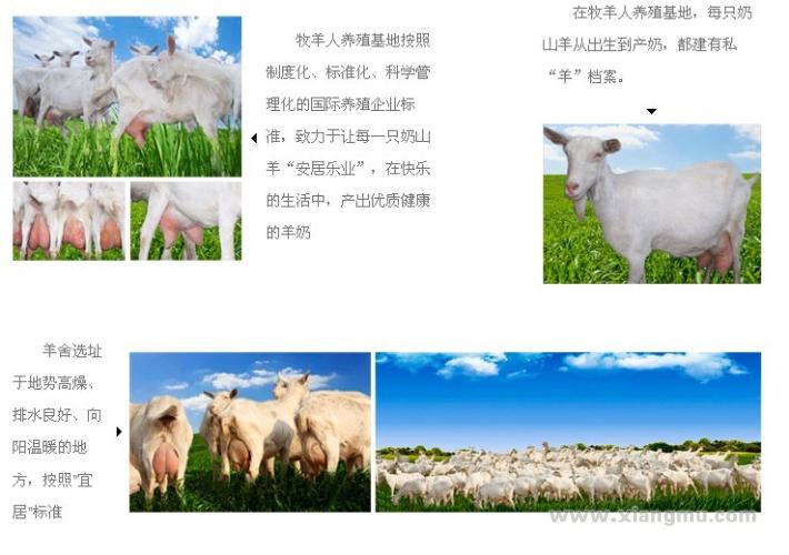牧羊人乳业——高端乳品市场的一枝新秀_3