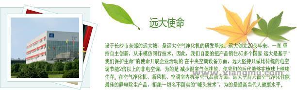 中国2010年上海世博会全球合作伙伴出品——远大空气净化器全国招商加盟_4