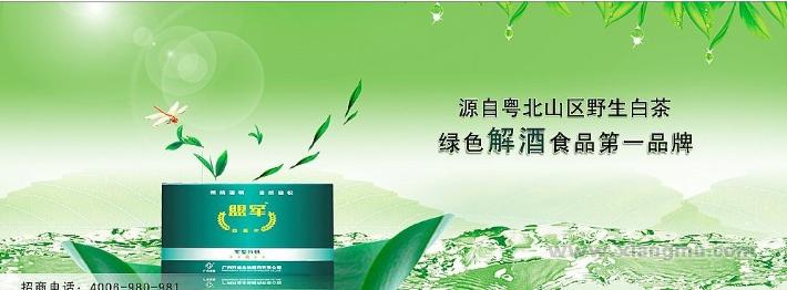 绿色解酒食品第一品牌——盟军白茶片招商加盟_1