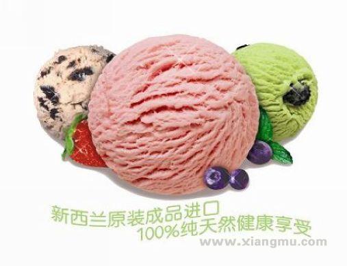 纽芝兰冰淇淋连锁店招商加盟_2