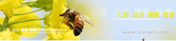 弘扬蜜蜂精神，致力人类健康—老蜂农蜂蜜连锁店加盟招商_4