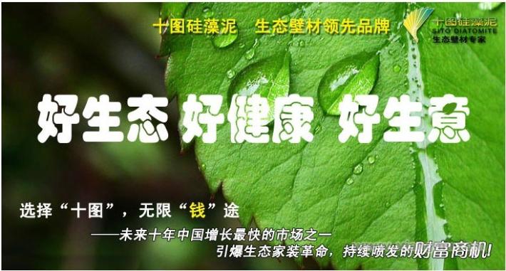 中国最专业的硅藻泥品牌十图硅藻泥全国火爆招商加盟！_1