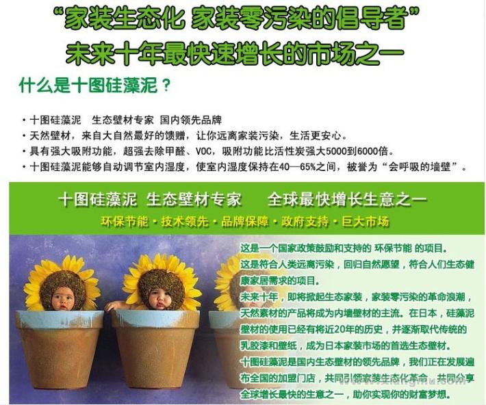 中国最专业的硅藻泥品牌十图硅藻泥全国火爆招商加盟！_2