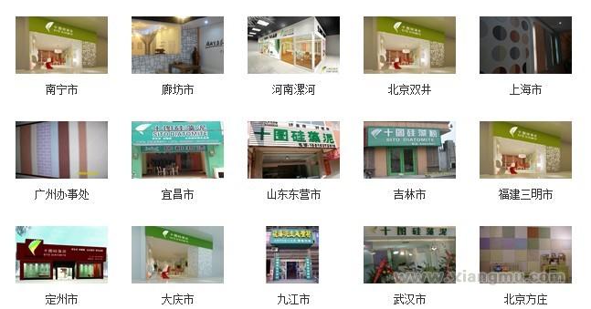 中国最专业的硅藻泥品牌十图硅藻泥全国火爆招商加盟！_10