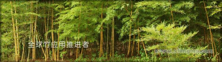 大莊地板加盟代理全國招商_2