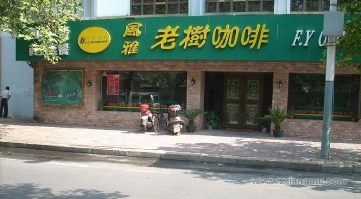 风雅老树咖啡加盟连锁店招商_4