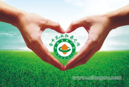 卡玫爾羊奶粉全國招商代理_2