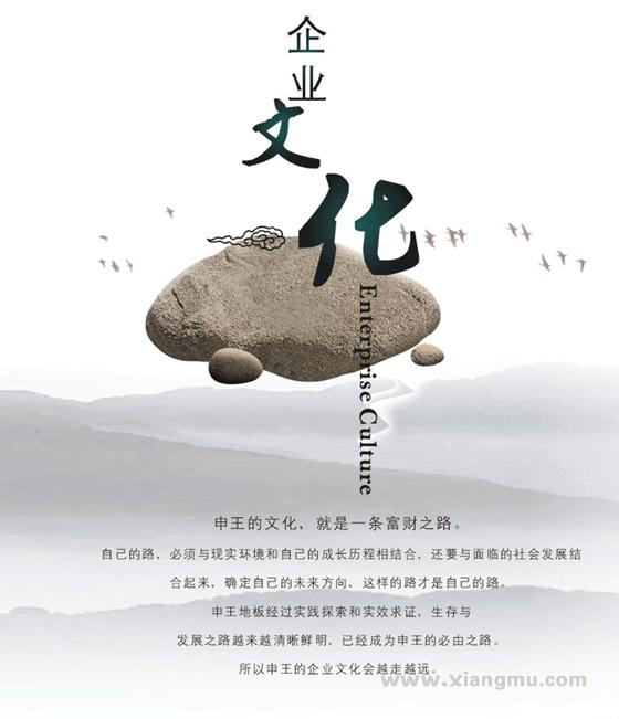 申王申王爱情悲剧