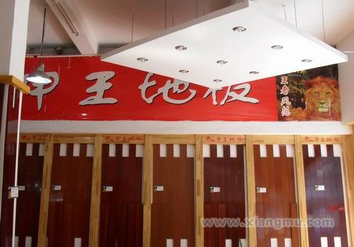 申王申王爱情悲剧