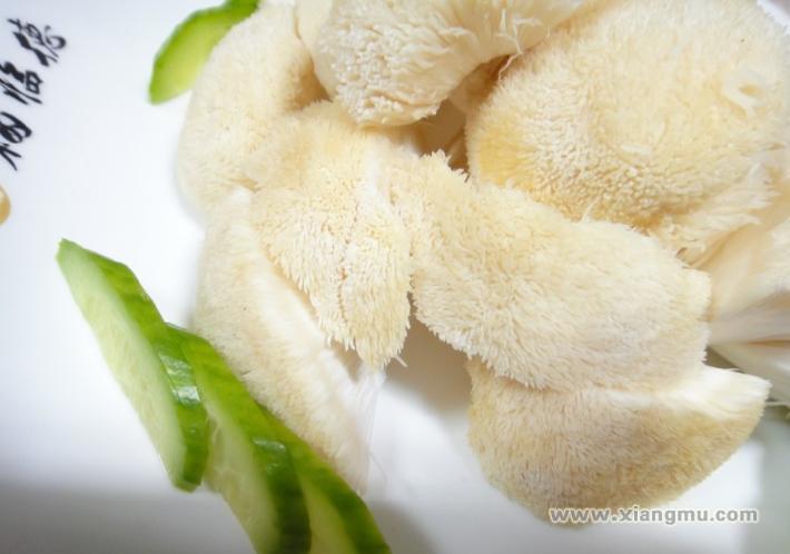 福臨德豆撈加盟連鎖店招商_5