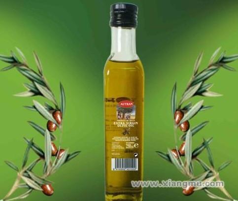 康迈橄榄油——西班牙最高品质的橄榄油之一_6