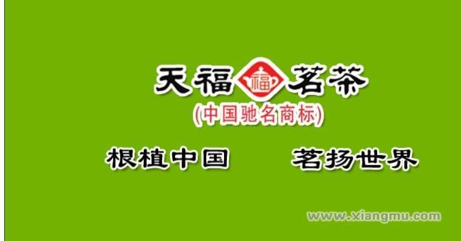 天福茶叶加盟代理全国招商_5