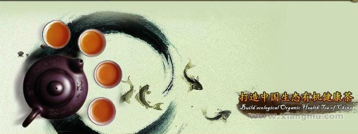 沁香源茗茶加盟火爆招商_11