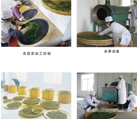 頤生堂解酒茶加盟_5