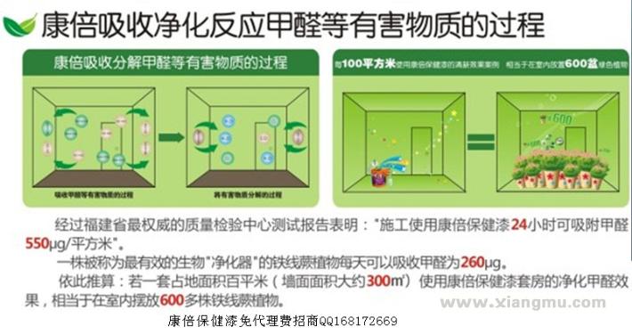 康倍保健漆携手净卫士除甲醛创业项目_2