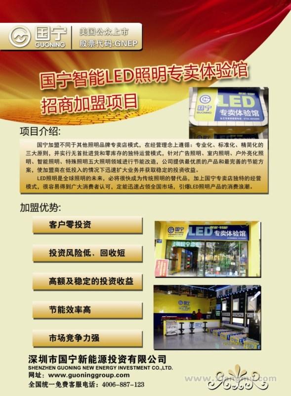 深圳市国宁新能源投资有限公司_1