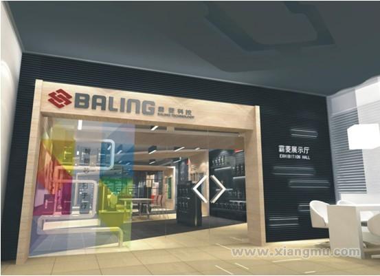 廣東省霸菱科技有限公司_1