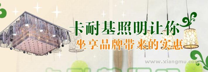 卡耐基照明加盟_2