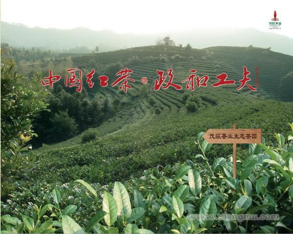 茂旺红茶加盟连锁_4