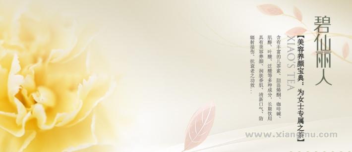 蕭氏茶葉加盟連鎖_4