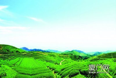 [廈門晚報(bào)]瞄準(zhǔn)高端人士辦公桌 山國飲藝推“好茶簡單...（圖）_2