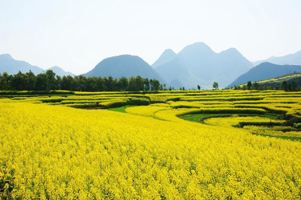 四月踏青好时节 GKB智能家居帮您看好家（图）_1