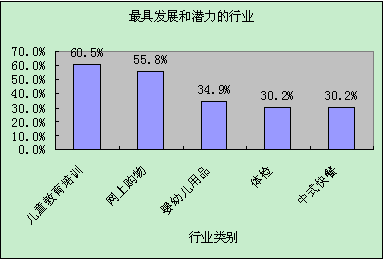 阳光飞扬投资分析_1