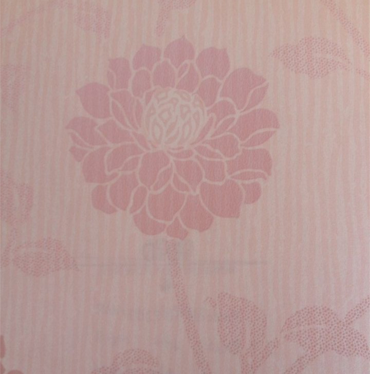 康然漆－環(huán)保建筑肌理漆涂料，誠(chéng)招金門(mén)縣油漆墻漆十大品牌代理商_1