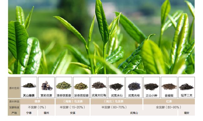 茗唐中式茶/茶叶加盟招商_9