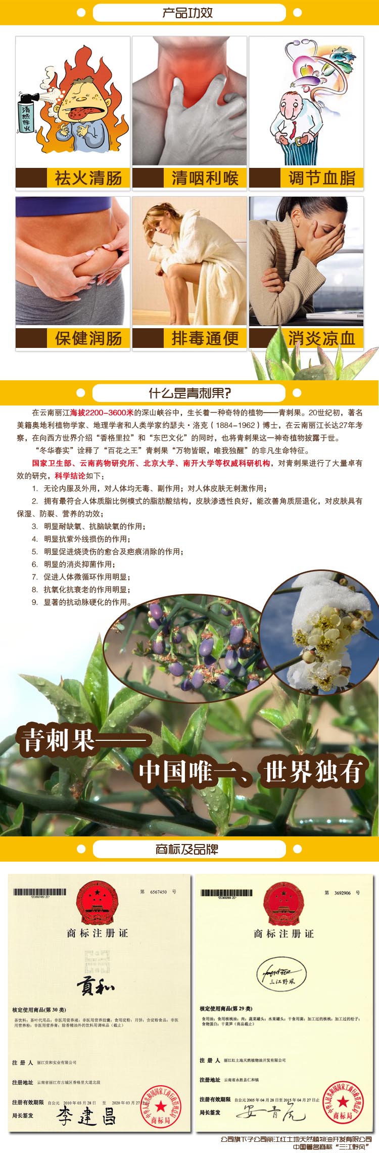 供應(yīng)麗江貢和青刺尖茶 調(diào)節(jié)血脂，祛火清腸，清咽利喉，治口腔潰瘍、治痔瘡 禮盒裝全國招商_5