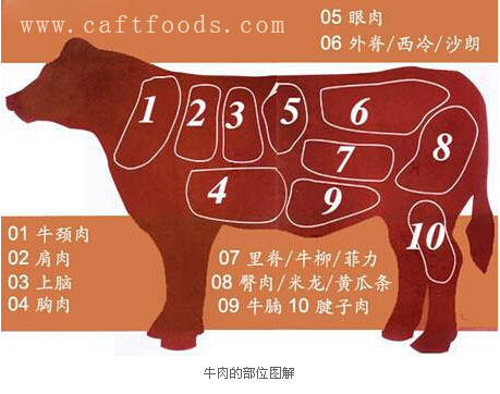 牛肉品质改良（图）_1