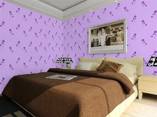 新型環(huán)保家居裝飾建材中鼎液體壁紙教你打開市場賺取財富_2