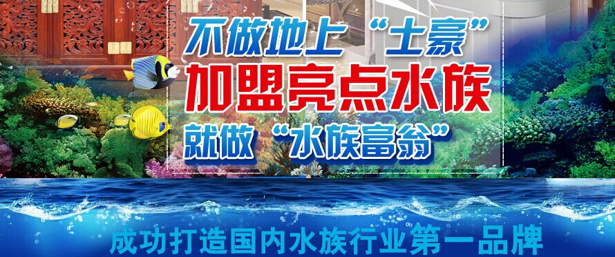 亮点水族加盟,亮点水族加盟费用_2