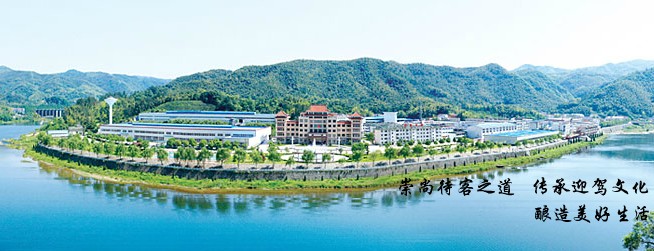 迎驾贡酒代理经销全国招商_2