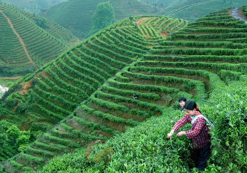 健康源自起點(diǎn)，專業(yè)鑄就成功?。▓D）_2
