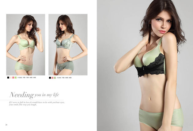 詩曼芬內(nèi)衣加盟政策_(dá)2