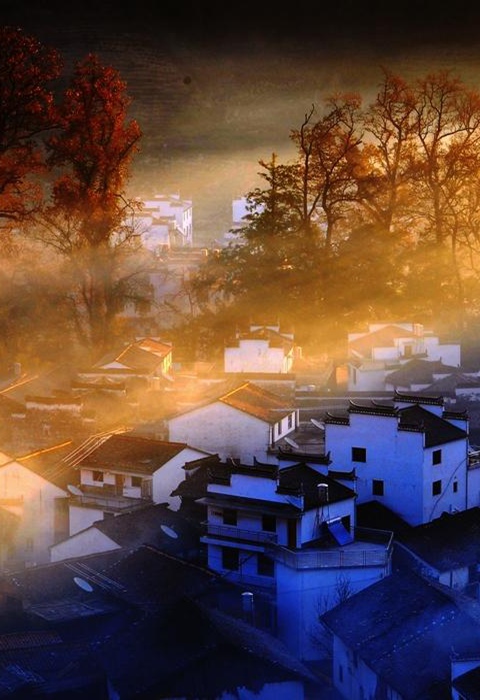 又迎最美紅葉季 楓景這里獨好（圖）_11