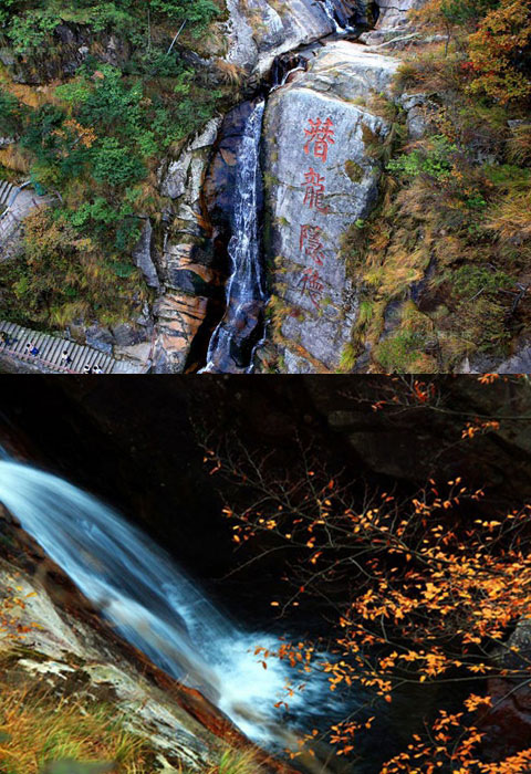 又迎最美紅葉季 楓景這里獨好（圖）_13