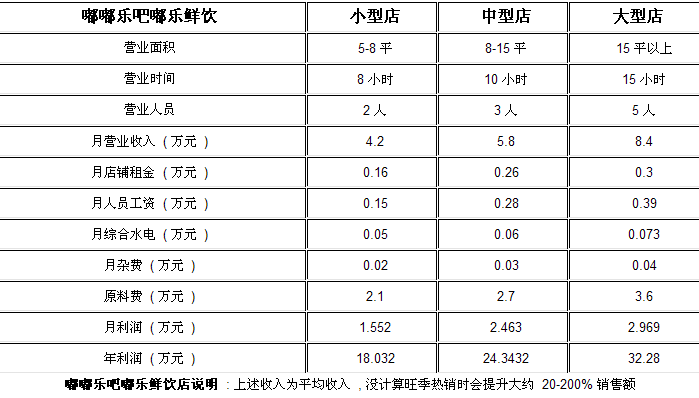 嘟嘟樂(lè)吧飲品投資分析_1